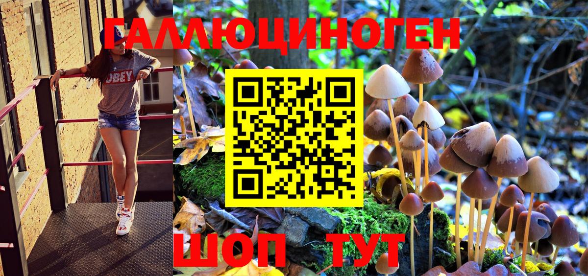 Галлюциногенные грибы MAGIC MUSHROOMS  Вход с VPN  Отрадный 